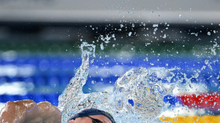 Nach 800-m-Aus: Wellbrock erreicht Finale über 1500 m