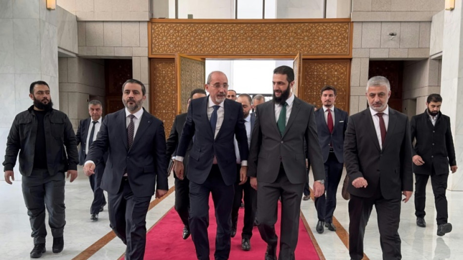 Jordanian, Qatari envoys hold talks with Syria's new leader