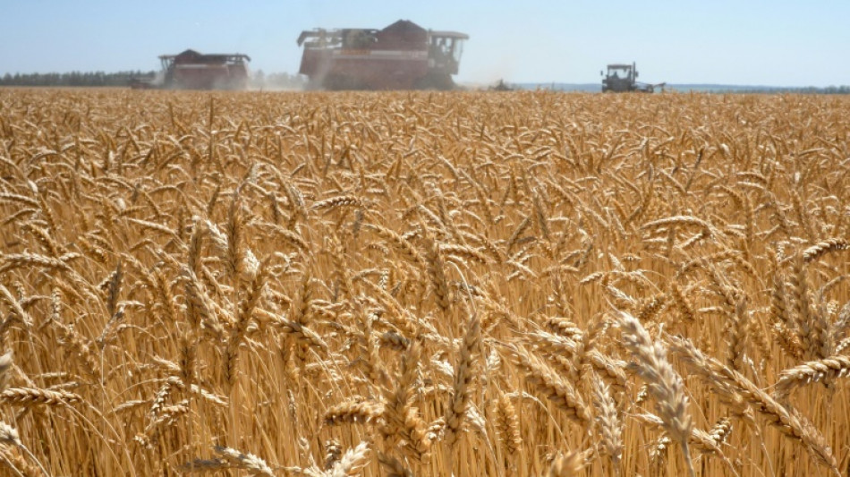 Grüne: Landwirtschaftsminister dürfen Umweltschutz nicht außer Acht lassen