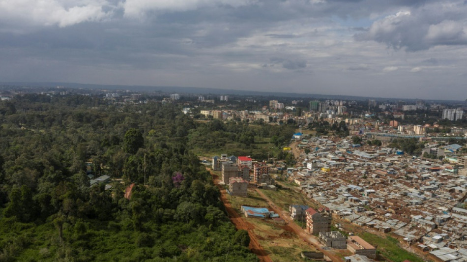 Kenya under fire over calls to 'weaken' forest protections