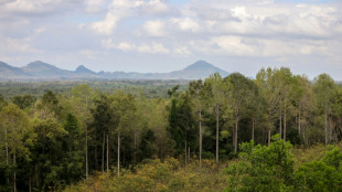 Carbon credits: a contested tool to fight deforestation