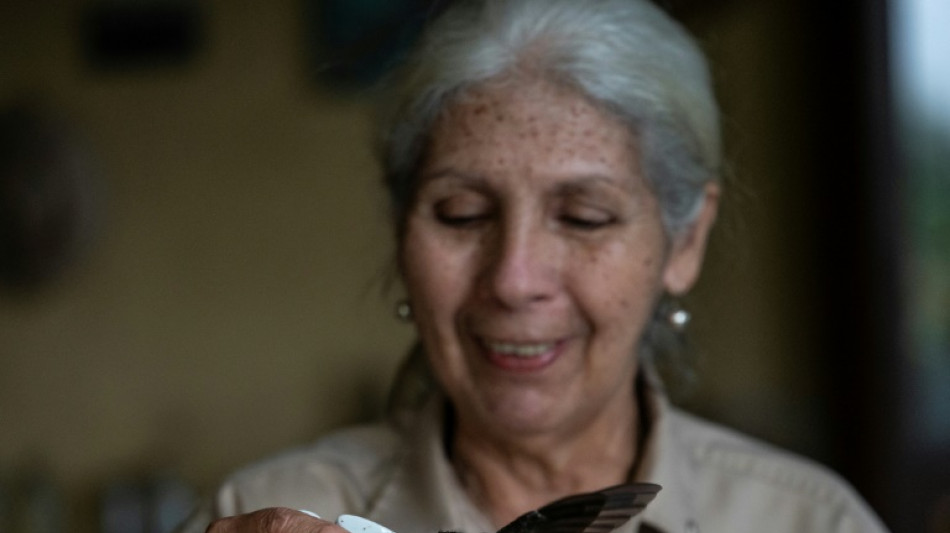 "Menos contaminación lumínica" claman conservacionistas de Venezuela en el Global Big Day