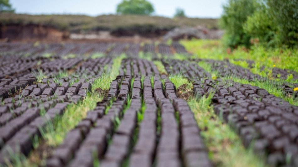 En Irlanda, la lucha por conservar o prohibir la extracción de turba opone a rurales y ecologistas