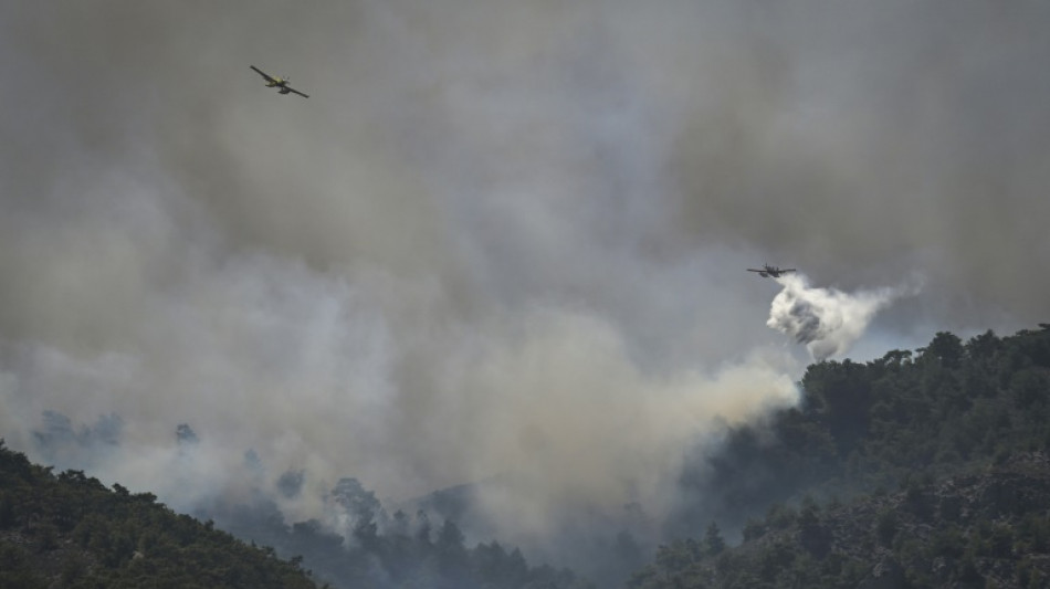 Thousands more evacuated as Greece 'at war' with forest fires