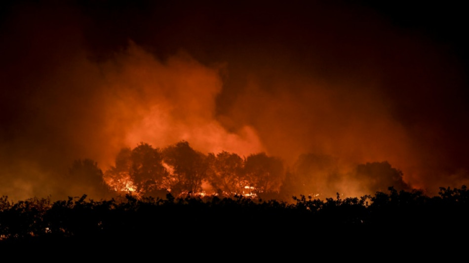 Portugal, Spain struggle to control forest fires