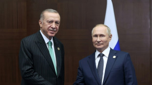 Erdogan ordnet Bau von Projekt für russisches Gas an