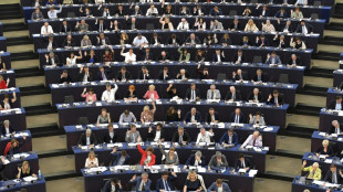 Eurodiputados buscan acelerar el uso de combustibles sostenibles en el sector aéreo