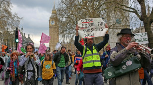 Climate protesters launch four-day mass action in London