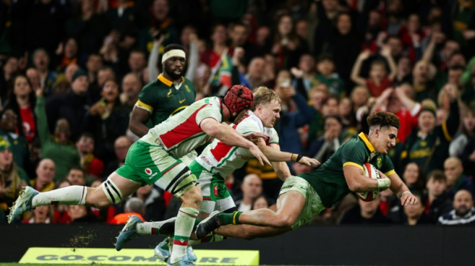 South Africa put Wales to the sword to wrap up season