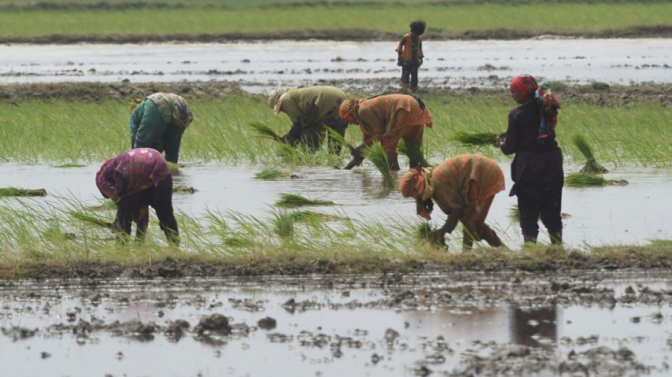 La OCDE llama a coordinar la ayuda a la agricultura y la transición ecológica