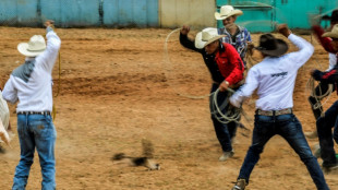 Animalistas protestan en un cementerio de Cuba tras un rodeo de gatos