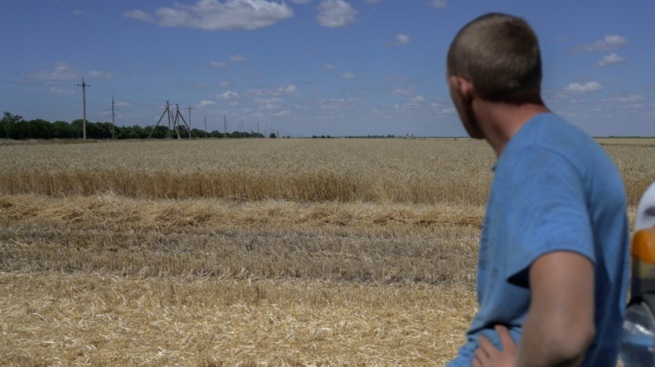 Los agricultores ucranianos rezan por un acuerdo para exportar los granos bloqueados