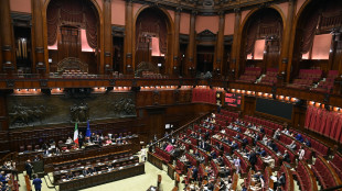 La Camera approva il decreto legge sulle materie prime