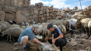 Turkish volunteer fights to save fire-scarred sheep