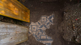 Il bagno rituale ebraico riemerso dagli scavi di Ostia Antica