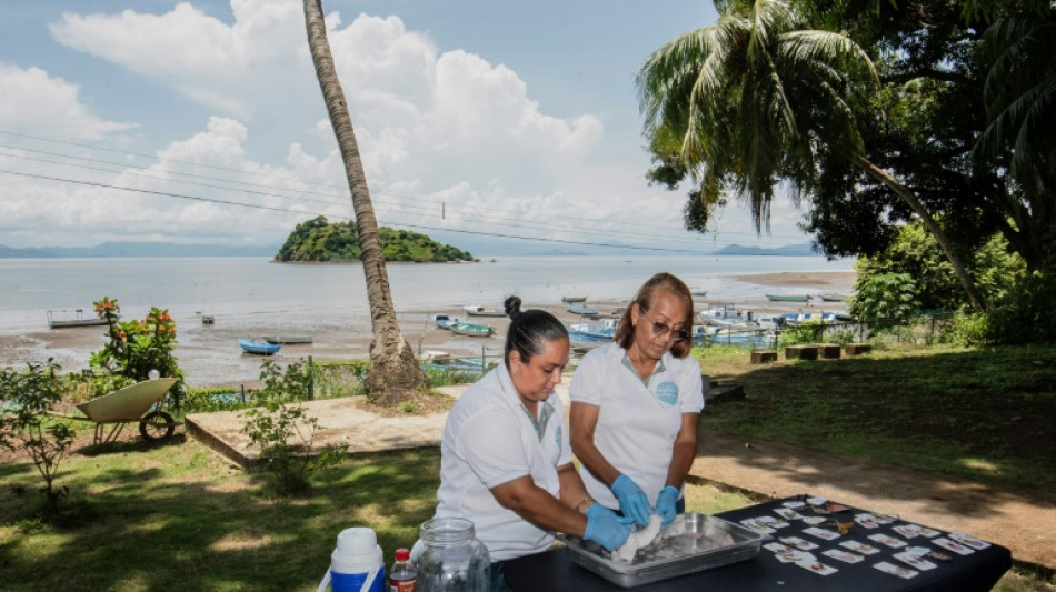 Costa Rica: des peaux de poissons recyclées en vêtements et bijoux