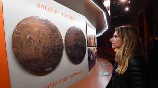 Su Marte una roccia che fa sperare in tracce di vita microbica