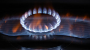 Il gas apre in lieve rialzo a 30,84 euro
