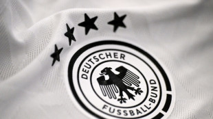 Entsetzte Politiker wegen DFB-Entscheidung für Nike statt Adidas