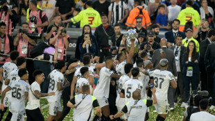 Brazil's ten-man Botafogo win Copa Libertadores