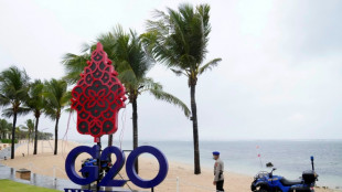 Ministros del G20 abren reunión en Bali con Ucrania como prioridad de su agenda