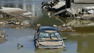 Inondations : 82 milliards de dollars de dégâts en 2021 au plan mondial, selon Swiss Re