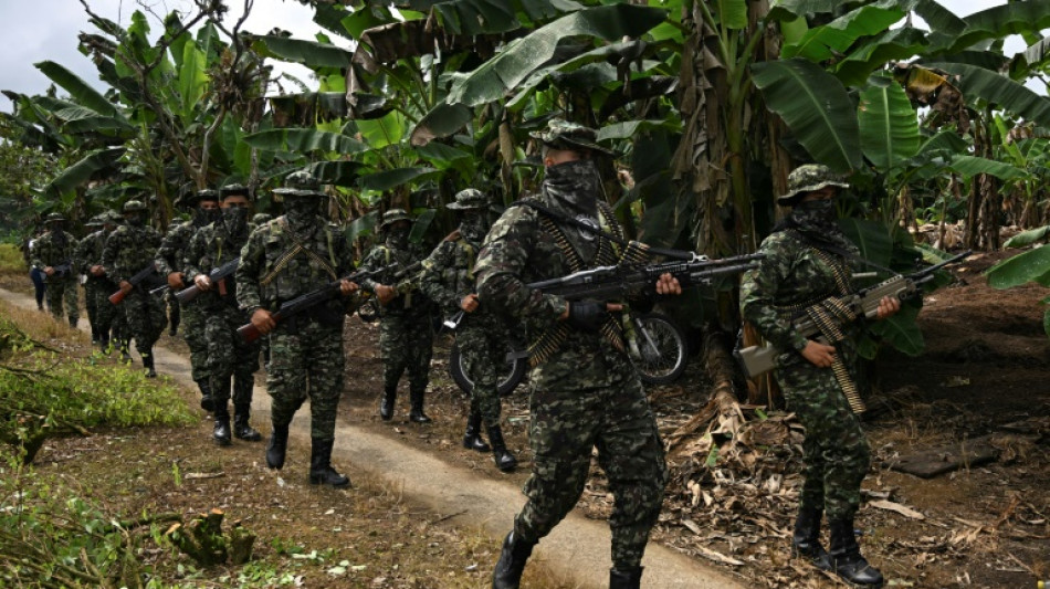 En Colombie, sur les terres de coca de la Segunda Marquetalia