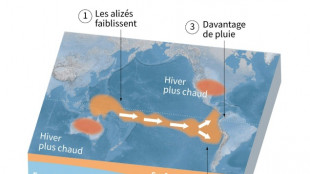 El Niño devrait contribuer à des températures supérieures à la normale entre mars et mai