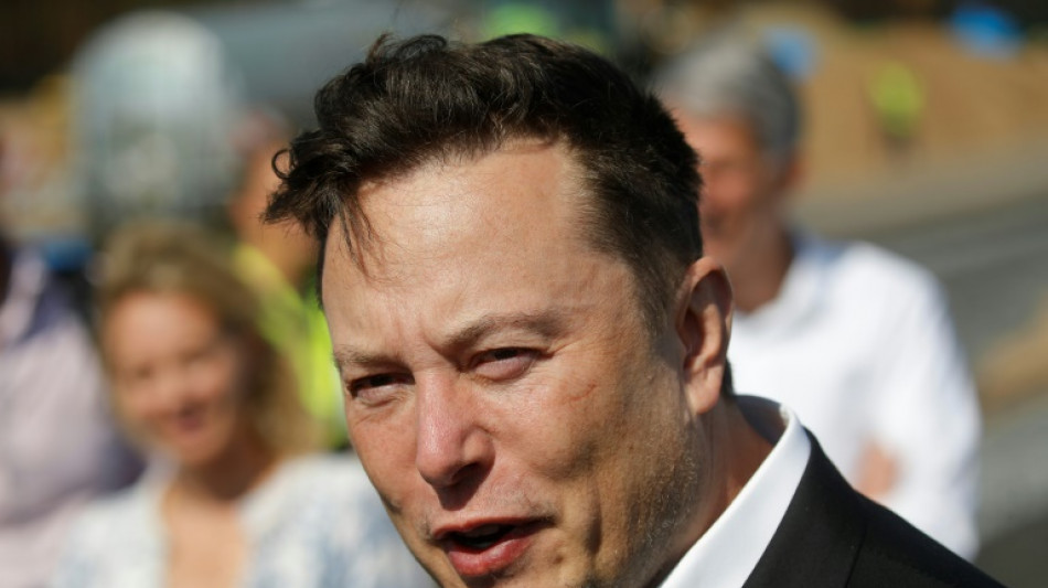 Elon Musk sieht die Welt in einer "Babykrise"