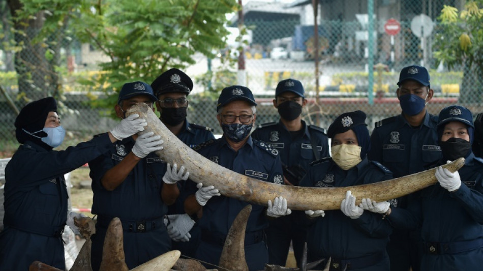 Malaysia seizes animal parts worth $18 mn