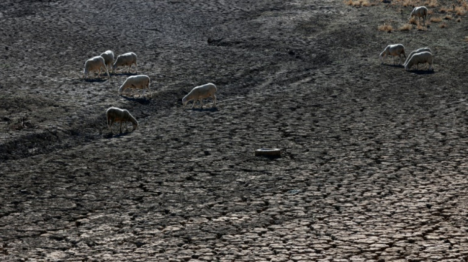 Las olas de calor cuestan más a los países pobres, según estudio