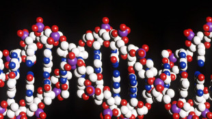Trovate 17 mutazioni genetiche legate a malattie cardiovascolari