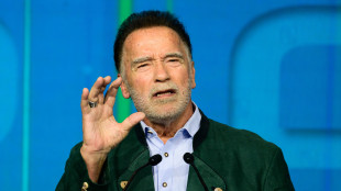 Anziana brasiliana truffata, dà risparmi a falso Schwarzenegger