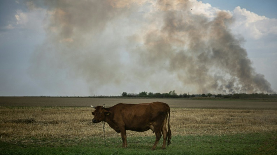 Weiter heftige Kämpfe im Süden der Ukraine