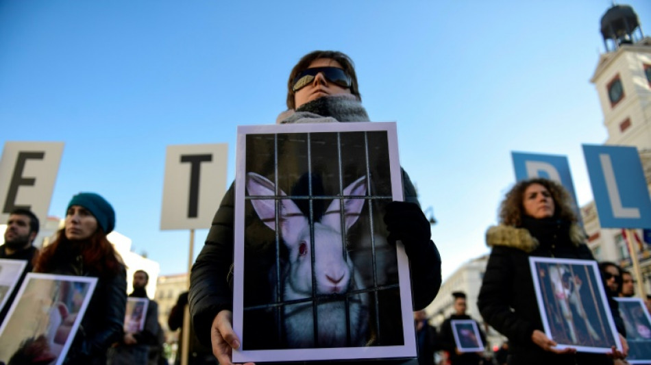 Gobierno español adopta un proyecto ley de protección animal