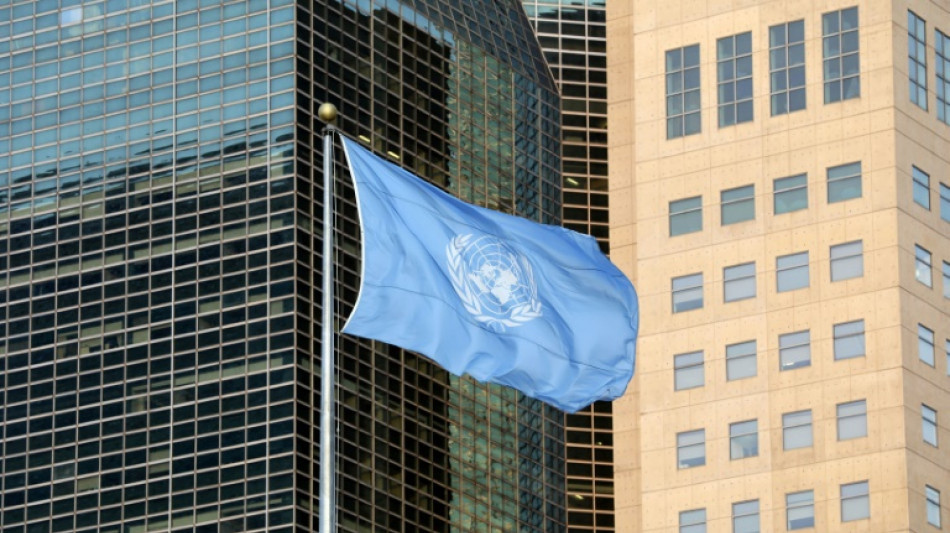 Guerre Russie/Ukraine: le Conseil de sécurité de l'ONU observateur actif faute de mieux