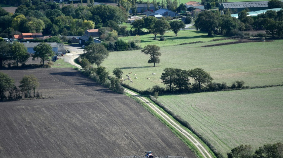 EU-Landwirtschaftsminister wollen wegen Ukraine-Kriegs Produktion ankurbeln