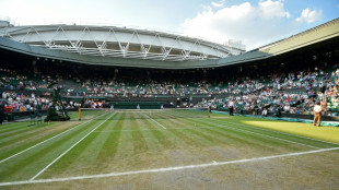 Svitolina enfrenta Vondrousova, e Jabeur encara Sabalenka nas semifinais de Wimbledon