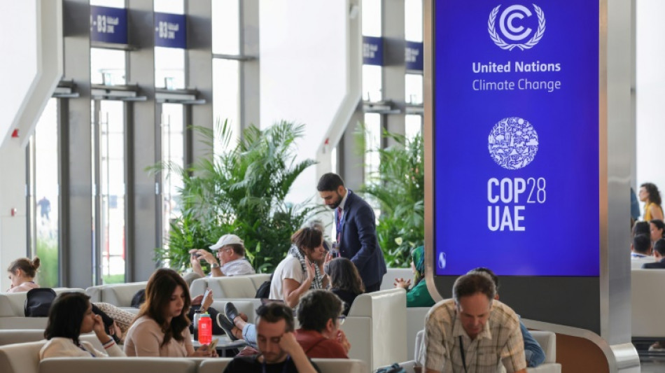 Colombia propone acoger la COP16 sobre la diversidad en 2024