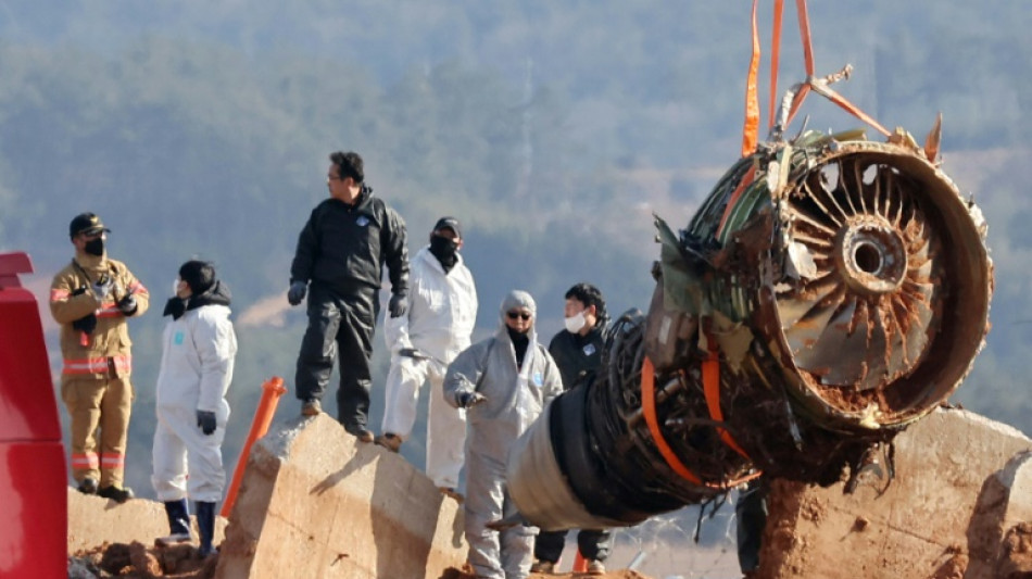 Bergung von Maschine nach Flugzeugunglück in Südkorea begonnen