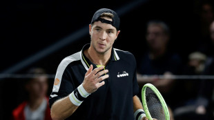 Struff scheitert an Draper und verpasst Finale von Sofia