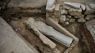 Mystery sarcophagus found in Notre-Dame to be opened