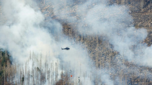 Großfeuer am Brocken: Löscharbeiten werden über Nacht eingestellt