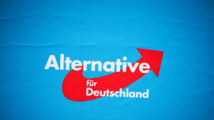 AfD-Parteitag spricht sich für erneute Doppelspitze aus