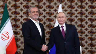 Putin und iranischer Präsident Peseschkian heben "ähnliche" Positionen hervor