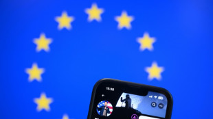 Can EU stand up to belligerent Big Tech in new Trump era?