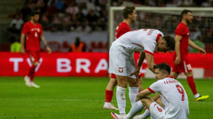 Técnico da Polônia diz que Lewandowski 'provavelmente' voltará no 2º jogo da Euro