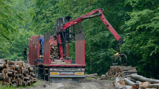 La lucha por proteger a los Cárpatos de la explotación forestal