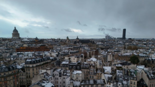 Toits de Paris: l'Unesco classe les savoir-faire des couvreurs-zingueurs