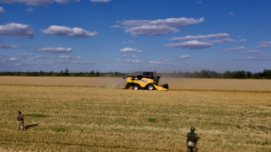 El encarecimiento del gas en Europa puede provocar escasez de fertilizantes